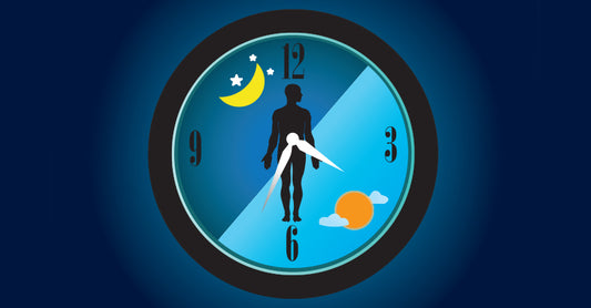 The Biological Clock: Why It is Important & How It Affects Health