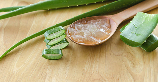 TOP DIY USES OF ALOE VERA FOR HAIR AND SKIN CARE