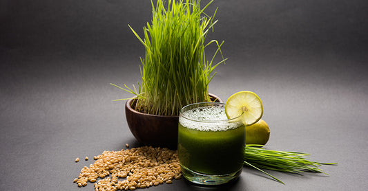 WHEATGRASS