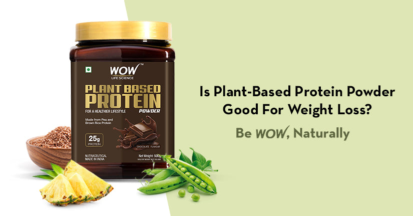 Is Plant-Based Protein Powder Good For Weight Loss?