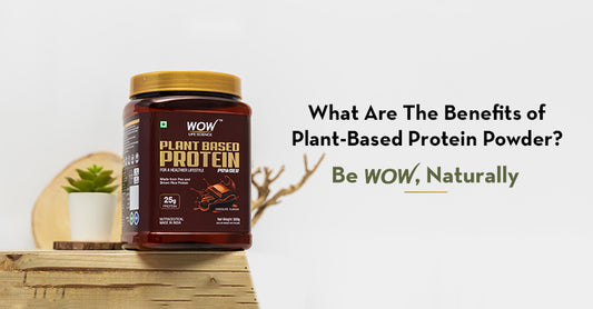 What Are The Benefits of Plant-Based Protein Powder?